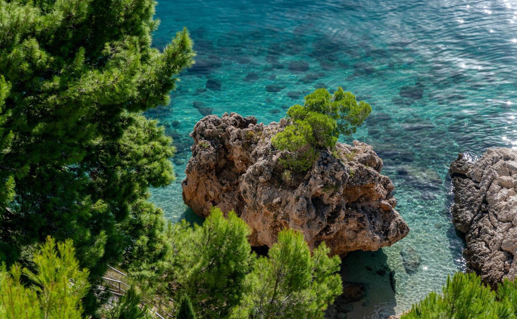 Villa Jana Marusici  外观 照片